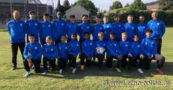 Beim FC Sportfreunde Heppenheim geht es aufwärts - Echo Online