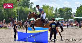 Andrang bei Kaltblutschau in Heppenheim - Echo Online