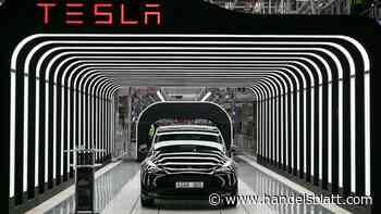 Wachstumswerte: Aktiensplits bei Tesla, Amazon und Alphabet verpuffen – Mögliche Chancen für Anleger