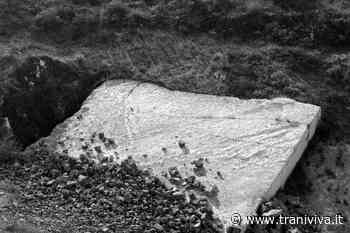 Habitat, la periferia torna al centro in una mostra di arte contemporanea - TraniViva