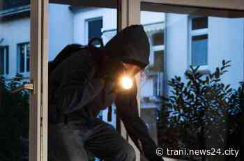 Barba e Capelli – Zona Cappuccini, ora i vandali assaltano i garage - Trani News24 City