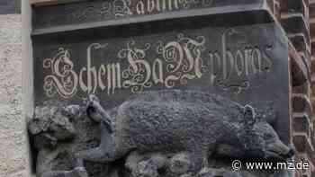 Die Schande von Wittenberg - Mitteldeutsche Zeitung