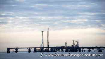 Gas-Pipeline: Deutsche Umwelthilfe fordert Baustopp