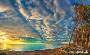 Cecina e rifiuti a Tombolo Nord, "Quei turisti ritorneranno dopo il bello spettacolo?" - Livornopress - notizie livorno - Livorno Press