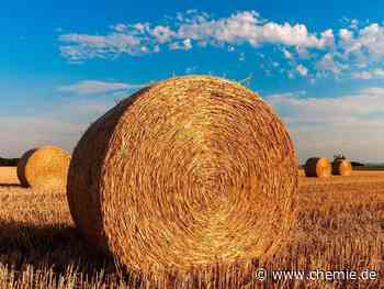 Vom Stroh zum flüssigen Kraftstoff: