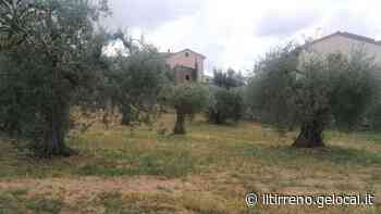 Casa di comunità col Pnrr. Il finanziamento è ufficiale - Il Tirreno