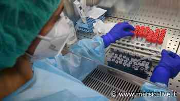 Covid, servizio di telemedicina per i pazienti cronici di Avezzano, L'Aquila e Sulmona - MarsicaLive