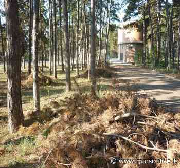 Il Volo del Coleottero porta in scena ad Avezzano la rassegna “Storie in circolo” - MarsicaLive