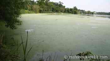 Green and slimy July 4 weekend ahead, MPCA predicts