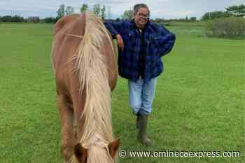 Tourism and travel industry pushed to embrace diversity and inclusion measures - Omineca Express