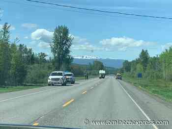 Beaver takes down tree and Northwest B.C. phone and internet service - Omineca Express