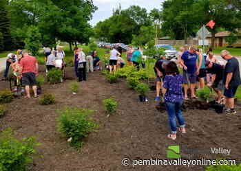15 new shrubs and bushes honour lost loved ones at Altona's Memory Garden - PembinaValleyOnline.com