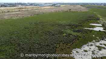 Altona grassland saved | Maribyrnong & Hobsons Bay - Maribyrnong Hobsons Bay Star Weekly