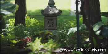 See beautiful local gardens on the Champaign County Master Gardener's Garden Walk : SPlog - Smile Politely - Champaign-Urbana's Online Magazine