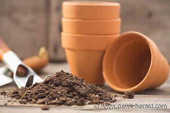 Geauga County Master Gardener Volunteer to give talk on beekeeping - The News-Herald