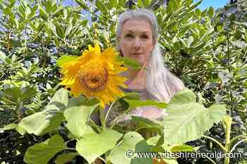 cheshireherald.com - “Community Gardener” Gets Her Shot - Cheshire Herald