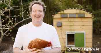 See inside gardener Diarmuid Gavin's stunning Wicklow home after incredible renovation - RSVP Live