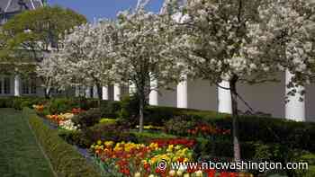 Estate Sale Features Items Kept by Longest-Serving White House Gardener - NBC4 Washington