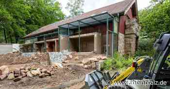 Südamerika im Zoo, neue Stadtmitte und Bauernmarkt – Kaiserslautern kompakt - Kaiserslautern - Rheinpfalz.de