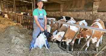 Gespräch mit Kreisbauernverbands-Vorsitzendem Neunkirchen Georg Neufang - Saarbrücker Zeitung