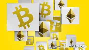 Digitale Währungen: Kursverluste und Zweifel an der Zukunft: Was von der Krypto-Revolution bleibt