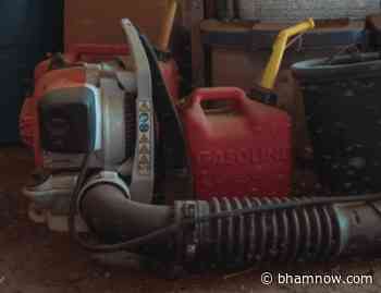 NEW: Forest Park/South Avondale passes resolution to discourage use of gas-powered leaf blowers - Bham Now