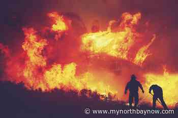 Not a busy season for forest fires — so far - My North Bay Now