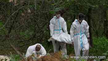 Bucolic Ukraine Forest is Site of Mass Grave Exhumation - Voice of America - VOA News