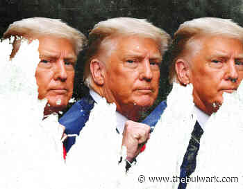 The Forest and the Trees - The Bulwark