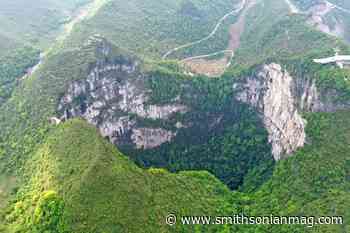 Ancient Forest Discovered in Chinese Sinkhole | Smart News - Smithsonian Magazine