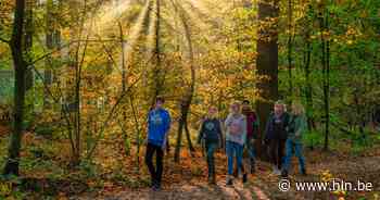 Wandelzoektocht in Lede - Het Laatste Nieuws