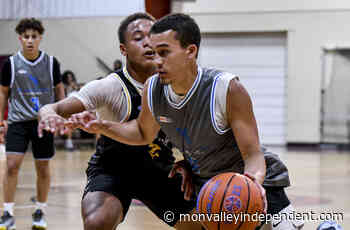 Elite Physical Therapy gets balanced scoring in win - monvalleyindependent.com