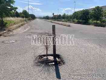 Crotone, segnalazioni "fai da te" lungo via Giulio Natta ~ CrotoneOk.it - CrotoneOK.it