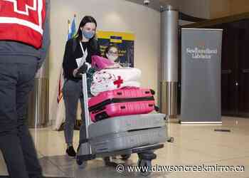 177 Ukrainian refugees land in Newfoundland on second provincially-chartered flight - Dawson Creek Mirror