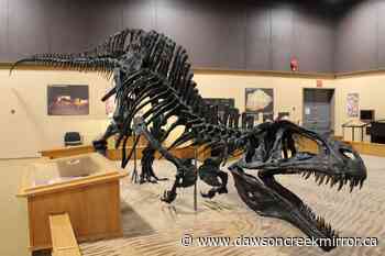 Tumbler Ridge museum wants more provincial support for fossils - Dawson Creek Mirror