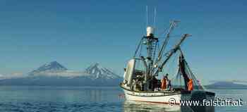 Genusswelt Alaska: Wild, natürlich &amp; nachhaltig