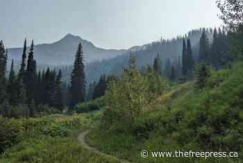 Summer season approaches for Fernie Alpine Resort – The Free Press - The Free Press
