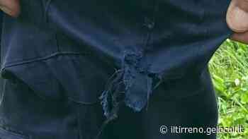 Pisa, aizza il cane contro un agente per evitare controlli: chi è il 62enne arrestato - Il Tirreno