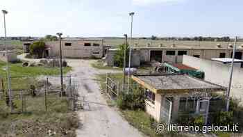 Amici di Pisa: totale appoggio alla sì della Proloco su Coltano - Il Tirreno