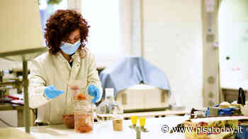 Sostituire la plastica con derivati da scarti alimentari: Pisa casa della 'Chimica Verde' - PisaToday