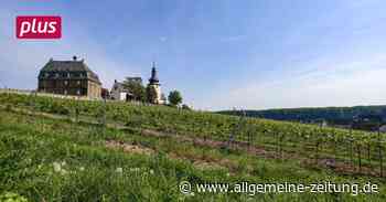 Wie die Werbung zur Niersteiner Glöck nun angepasst wird - Allgemeine Zeitung