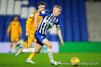Hatters linked with a loan move for Seagulls full back - Luton Today
