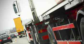 Supply chain disruption set to continue, finds logistics report - Fruitnet