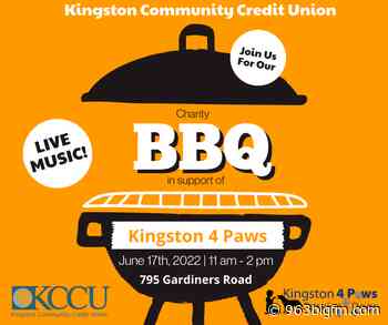 Charity BBQ in Support of Kingston 4 Paws - 963bigfm.com