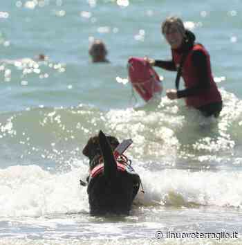 Caorle, arriva BauWatch - Il Nuovo Terraglio