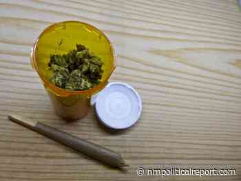 NM cannabis company, medical cannabis patients sue health care providers - New Mexico Political Report