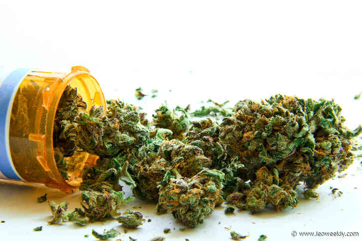 Gov. Beshear Announces 17-Member Team Kentucky Medical Cannabis Advisory Committee - Louisville Eccentric Observer (LEO Weekly)