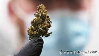 Enrollment in medical cannabis programs saw four-fold increase, study finds - STAT