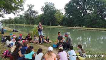 Montech. Des écoliers découvrent le milieu aquatique - LaDepeche.fr
