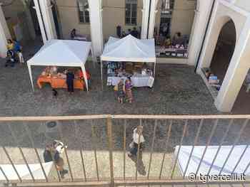 Giornata della Creatività: ottima adesione di giovani e adulti - tgvercelli.it